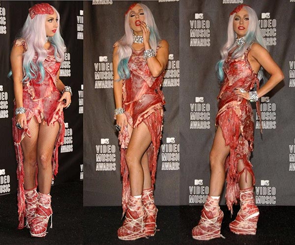 Lady Gaga Meat Dress