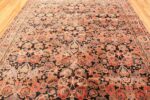 Field antique Axminster English rug 2442 by Nazmiyal
