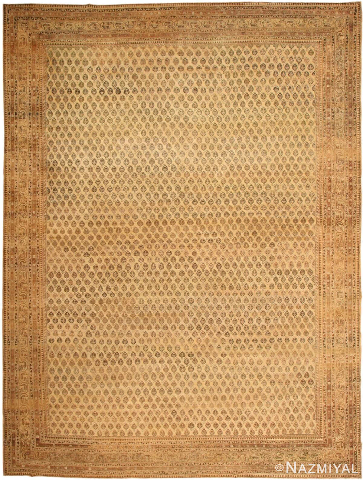 Antique Agra Oriental Rug 43400 Nazmiyal