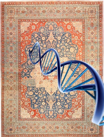 Antique Carpet DNA