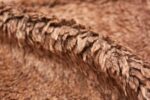 Pile Moroccan rug 45426 by Nazmiyal