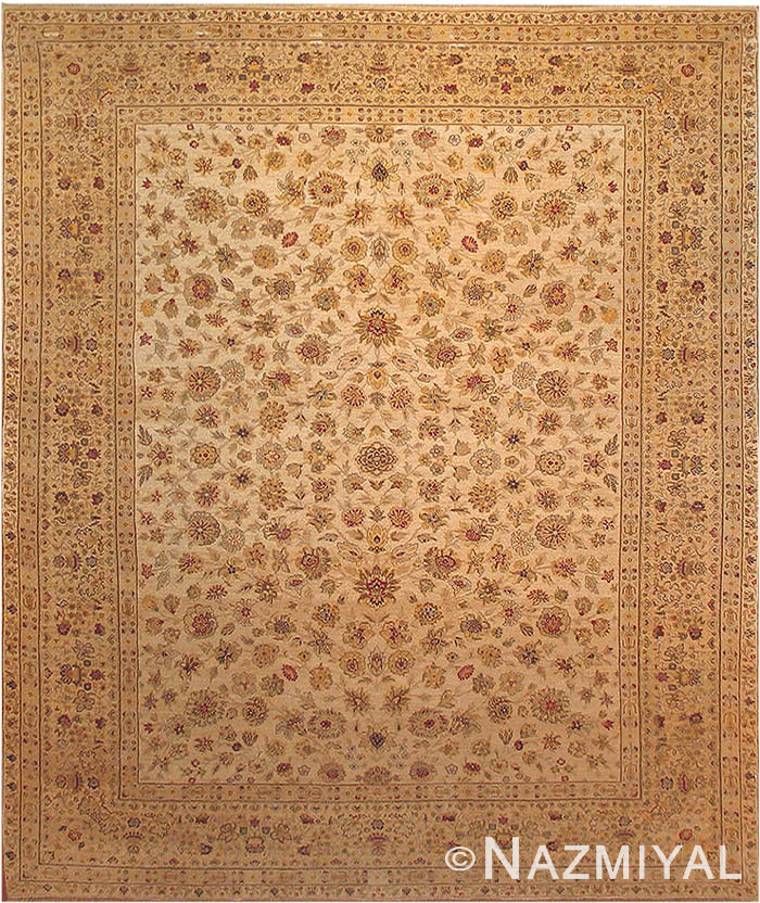 Agra Oriental Rugs 17880 Detail/Large View