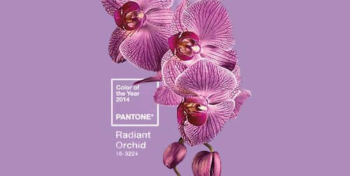 Panton Color Of The Year - Purple Panton Color Of The Year 2014 - Purple