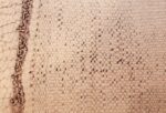 vintage moroccan rug 45618 weave Nazmiyal