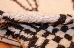 vintage moroccan rug 46040 pile Nazmiyal