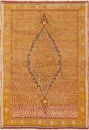 Small Antique East Turkestan Khotan Rug #45504 by Nazmiyal Antique Rugs