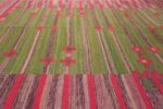 vintage swedish kilim 46203 field Nazmiyal