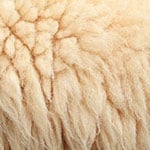 wool