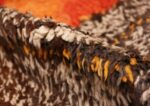 Pile Tribal Vintage Berber Shag Moroccan rug 47929 by Nazmiyal