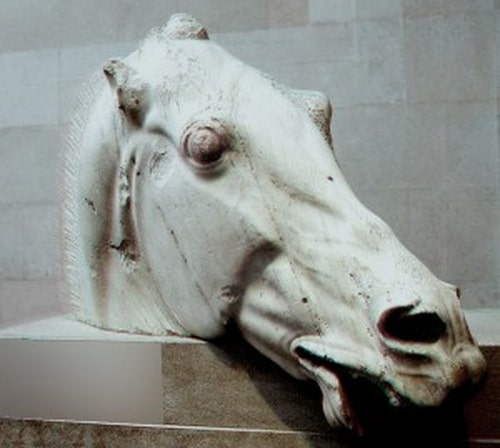 Elgin Horse Elgin Horse by Nazmiyal