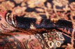 fine antique persian malayer carpet 48233 pile Nazmiyal