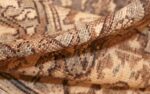 antique oversized persian malayer carpet 46139 pile Nazmiyal