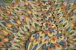 late 17th century palace size silk indian suzani embroidery 46159 feathers Nazmiyal