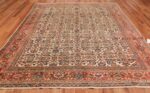 Antique Persian Sultanabad Carpet 50248 Whole Design Nazmiyal