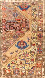 Rare Antique Tribal Persian Bidjar Sampler Rug 48628 Nazmiyal