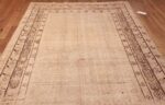 Antique East Turkestan Khotan Rug 50495 Top Design Nazmiyal