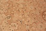 Background Vintage Alabaster Persian Tabriz rug 50444 by Nazmiyal