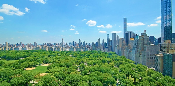 Central Park View From Hot NYC Apartment Central Park View From Hot NYC Apartment by nazmiyal