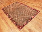 Whole of the Rare Small Size Antique Indian Agra Rug 48854