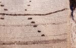 beni ourain vintage moroccan runner rug 49183 weave Nazmiyal