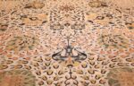 antique ivory agra indian rug 49217 field Nazmiyal