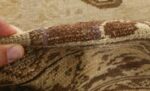 oversized antique malayer persian rug 51100 pile Nazmiyal
