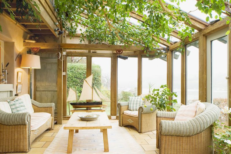 Sunroom Decor Plants Sunroom Decor Plants Nazmiyal