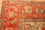 red background antique serapi persian rug 49351 corner Nazmiyal