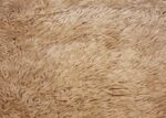 ivory vintage moroccan runner rug 49450 texture Nazmiyal