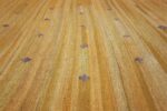 room size vintage scandinavian kilim rug 49269 lines Nazmiyal