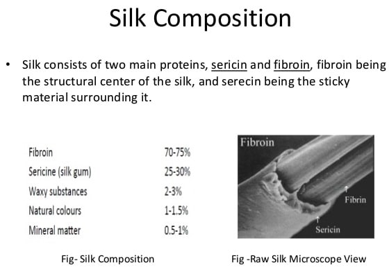 Sericin and The Chemical Composition Of Silk by Nazmiyal