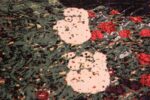 vintage flower garden design scandinavian rug by gustav klimt 49661 bird Nazmiyal