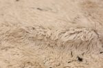 Ivory Room Size Vintage Moroccan Rug 49870 Dense Pile Nazmiyal