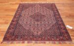Small Silk and Wool Antique Persian Senneh Rug 49851 Whole Design Nazmiyal