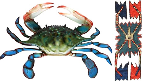 Picture of a A Real Crab Next A Crab Design Taken From An Antique Rug from Nazmiyal Antique Rugs in NYC