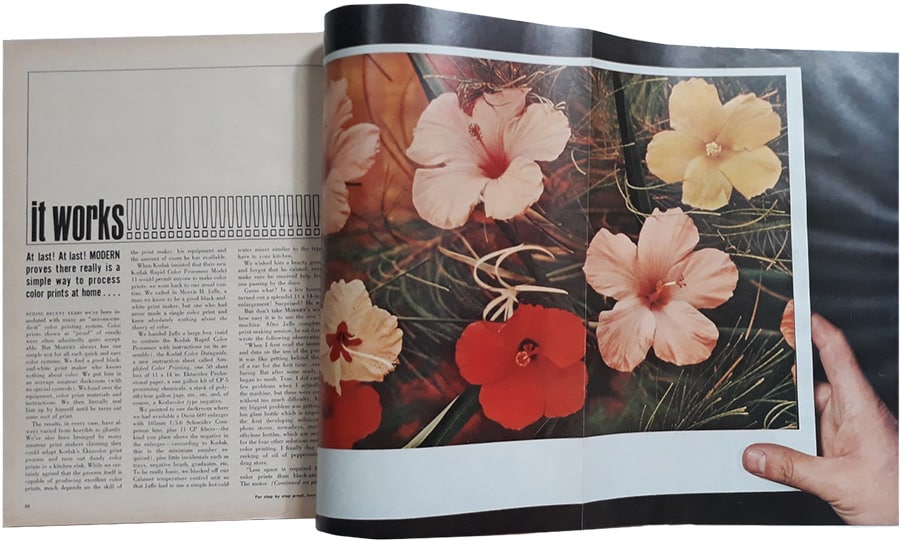 Patricia Caulfield Hibiscus Blossoms in Modern Photography Patricia Caulfield Hibiscus Blossoms - Nazmiyal