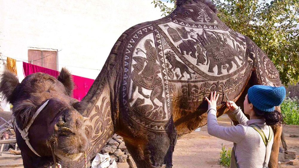Camel Hair Design - Nazmiyal Antique Rugs in NYC