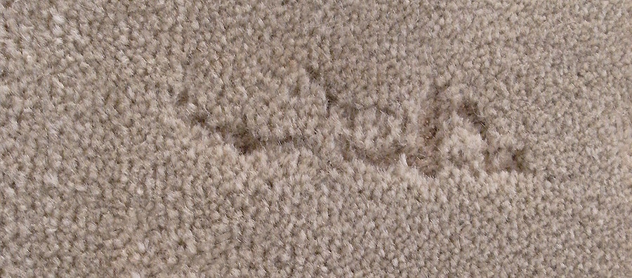 Track Left By Moth Larvae Moth Damaged Carpet - Track Left By Moth Larvae - Nazmiyal Antique Rugs