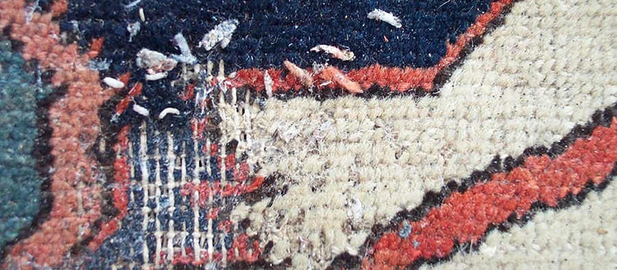 Moth Infested Antique Persian Rug Moth Infested Antique Persian Rug - Nazmiyal Antique Rugs in NYC
