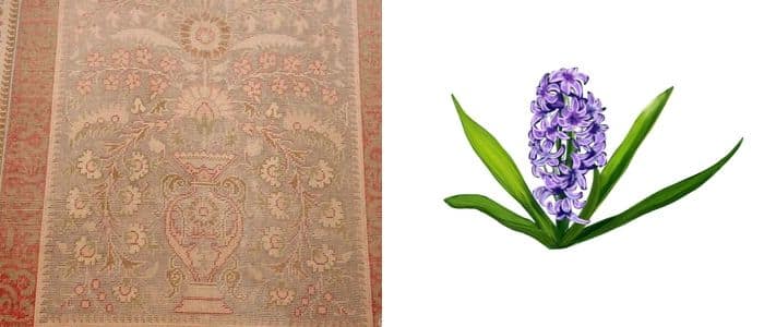 Hyacinth Symbol Nazmiyal