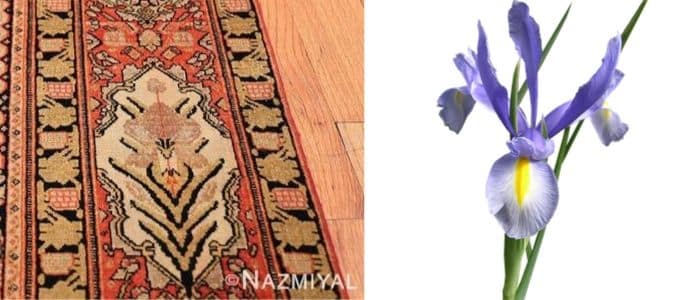 Iris Flower Symbol Nazmiyal