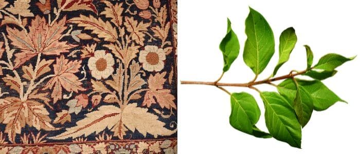 Leaf Rug Symbol Nazmiyal