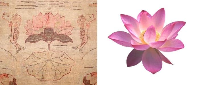 Lotus Flower Symbol Nazmiyal