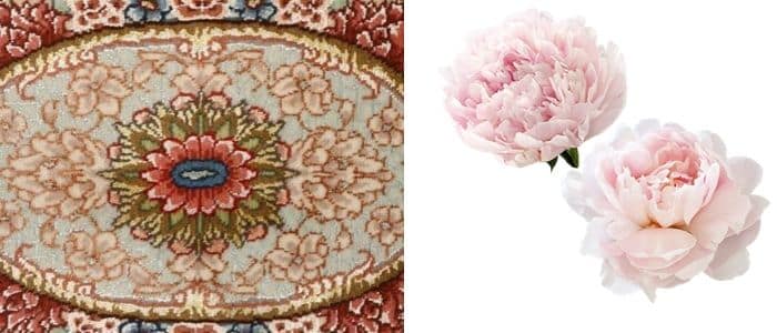 Peony Flower Symbol Nazmiyal