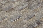 Close Up Of Modern Boho Chic Rug 142777125 by Nazmiyal NYC