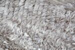 Close Up Of Modernist Collection Rug 172786828 by Nazmiyal NYC