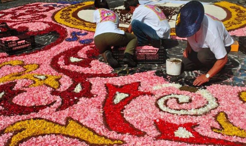 Infiorata Flower Carpet Infiorata Flower Carpet Artists