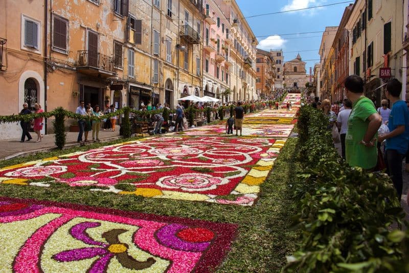 Infiorata Flower Carpets Infiorata Flower Carpets Nazmiyal