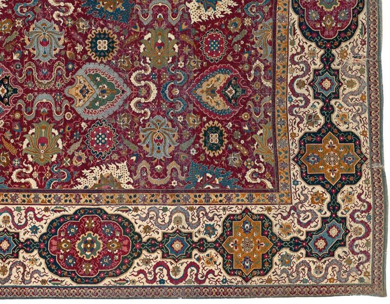 Trinitarias Carpet Closeup Trinitarias Carpet Closeup Nazmiyal