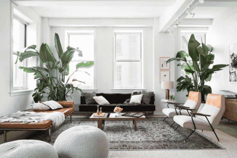 Plants and Earth Tones Decor Nazmiyal